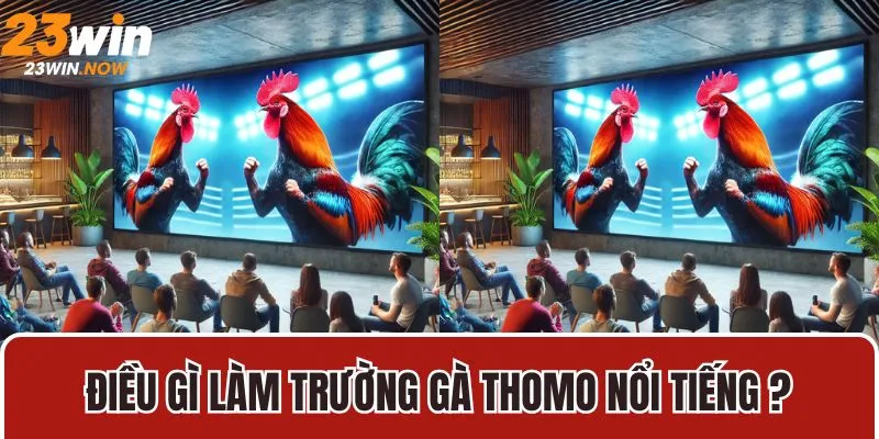 Điều gì làm trường gà thomo nổi tiếng ?