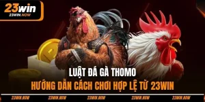 Luật đá gà Thomo