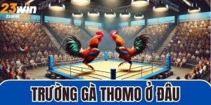 Trường Gà Thomo Ở Đâu